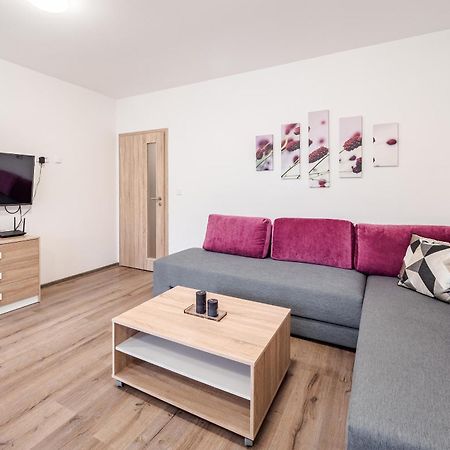 Private Luxury Apartments Frymburk Quarto foto