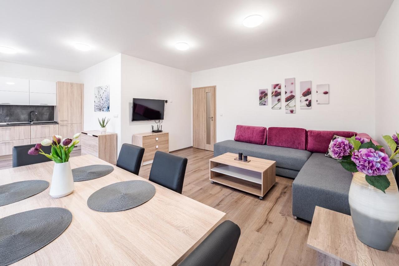 Private Luxury Apartments Frymburk Exterior foto