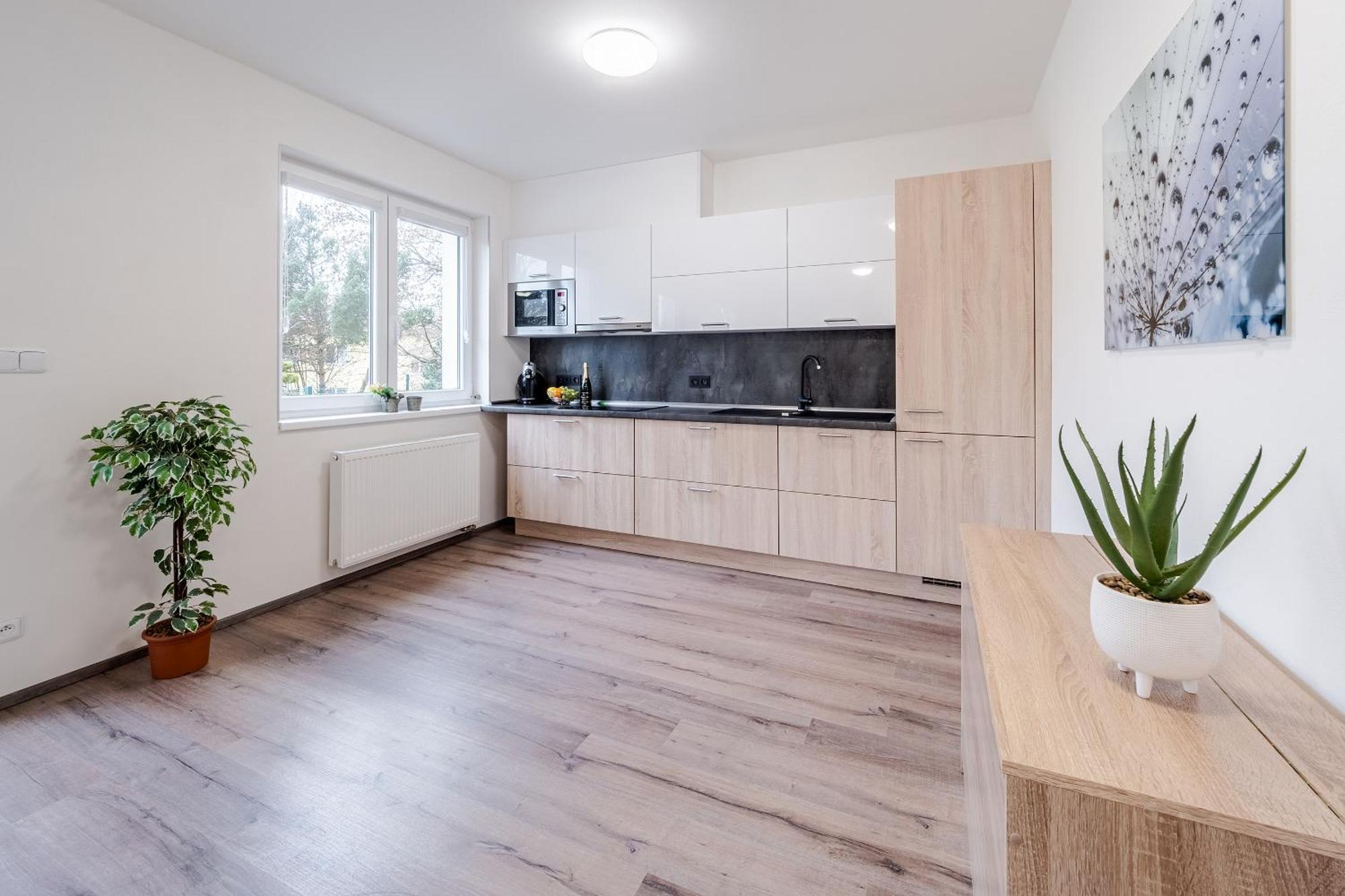 Private Luxury Apartments Frymburk Quarto foto